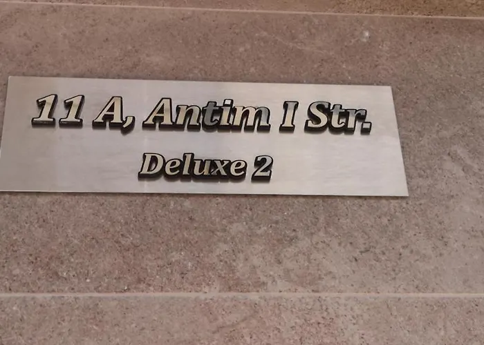 Deluxe 2 Center 公寓